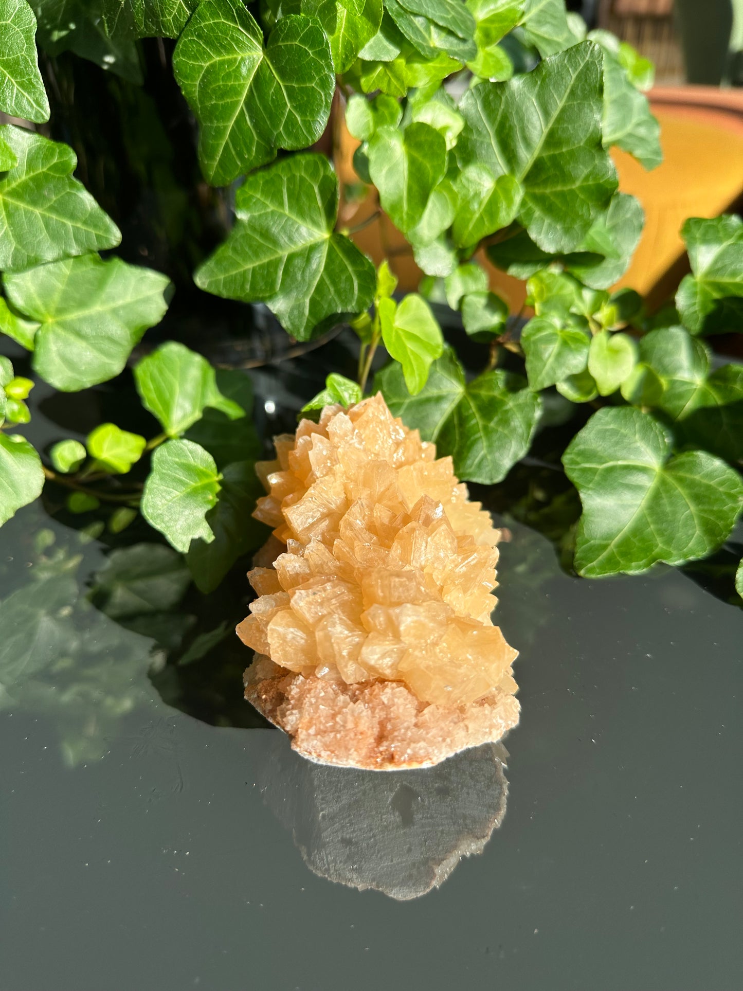 Orange Dogtooth Calcite