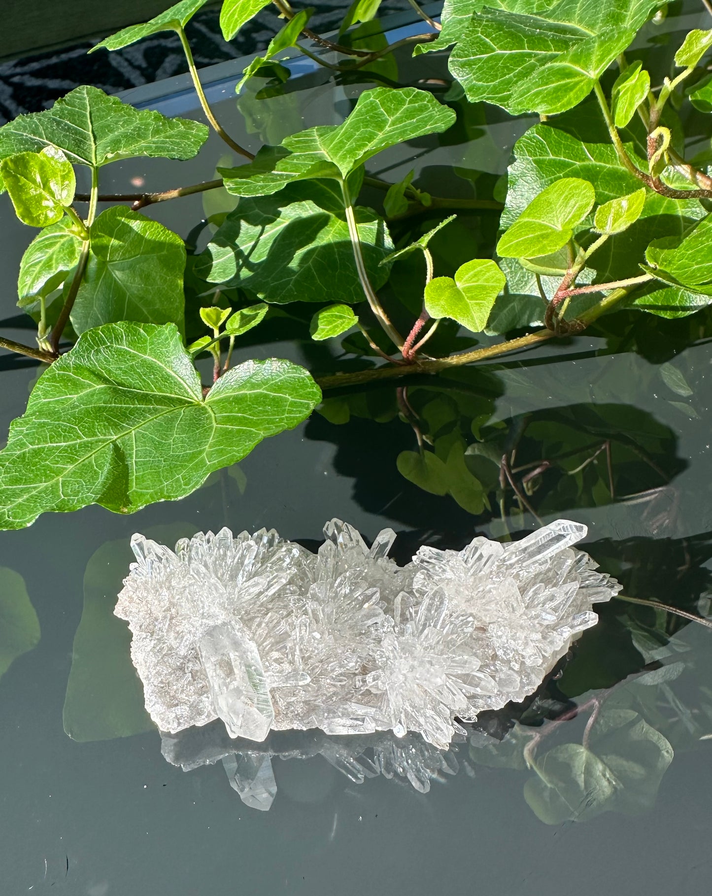 Chrysanthemum Clear Quartz Cluster