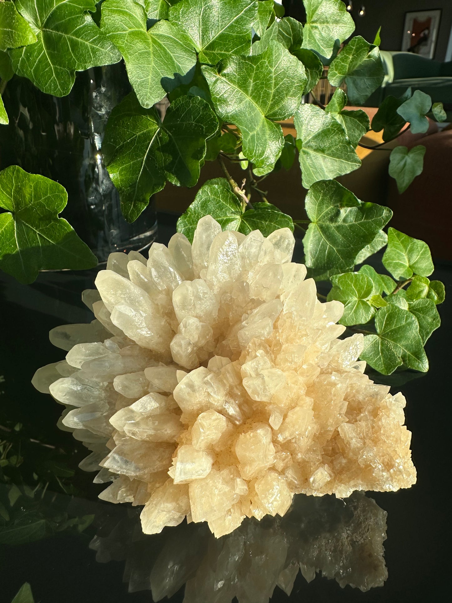 Clear Dogthooth Calcite Cluster