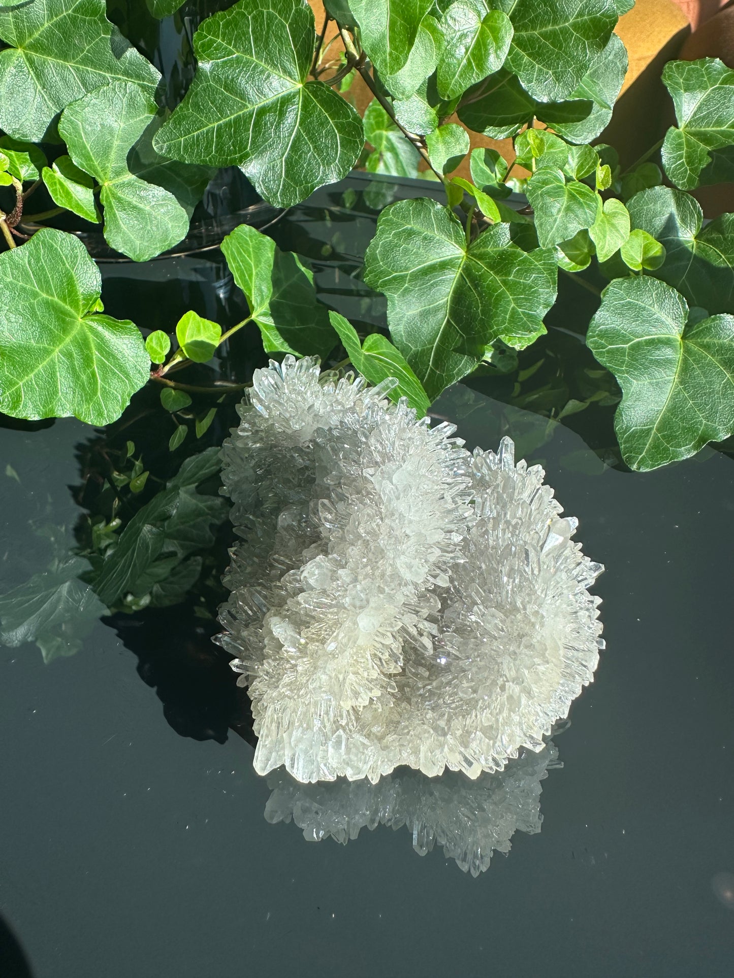 Chrysanthemum Clear Quartz Cluster