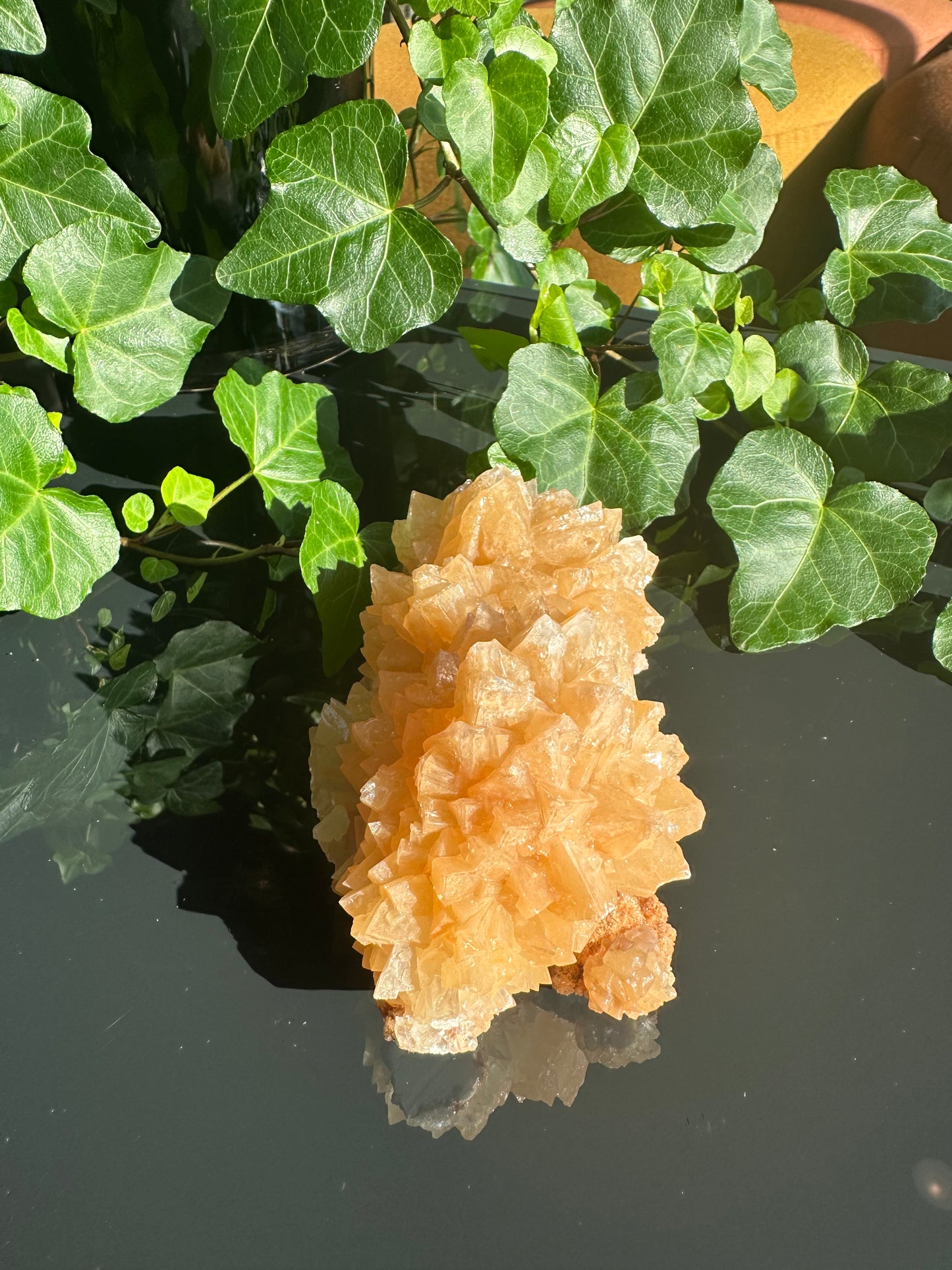 Orange Dogtooth Calcite