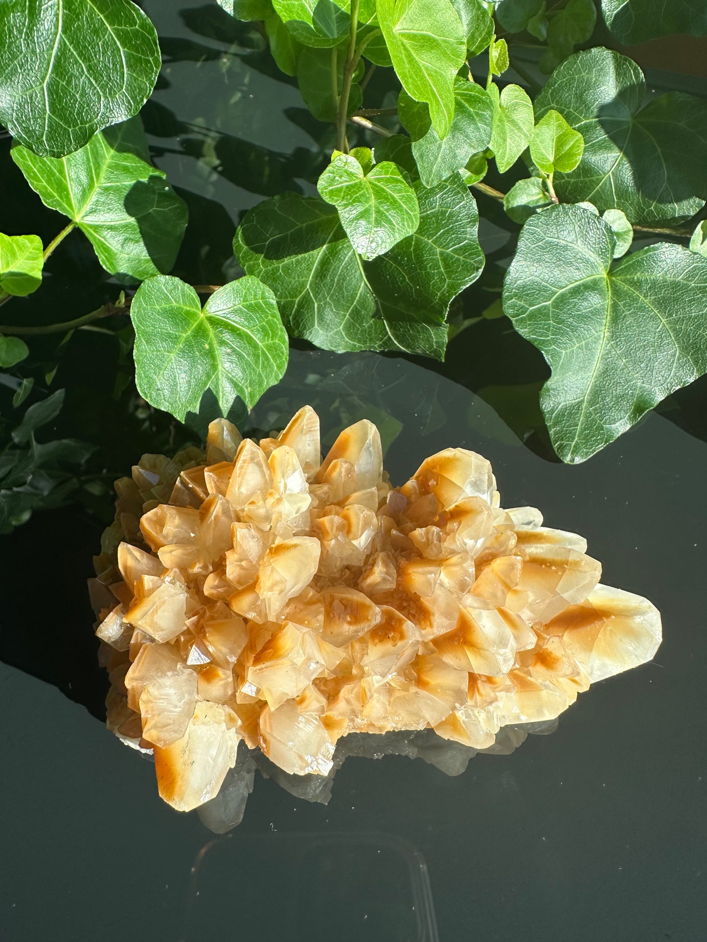 Orange Dogtooth Calcite