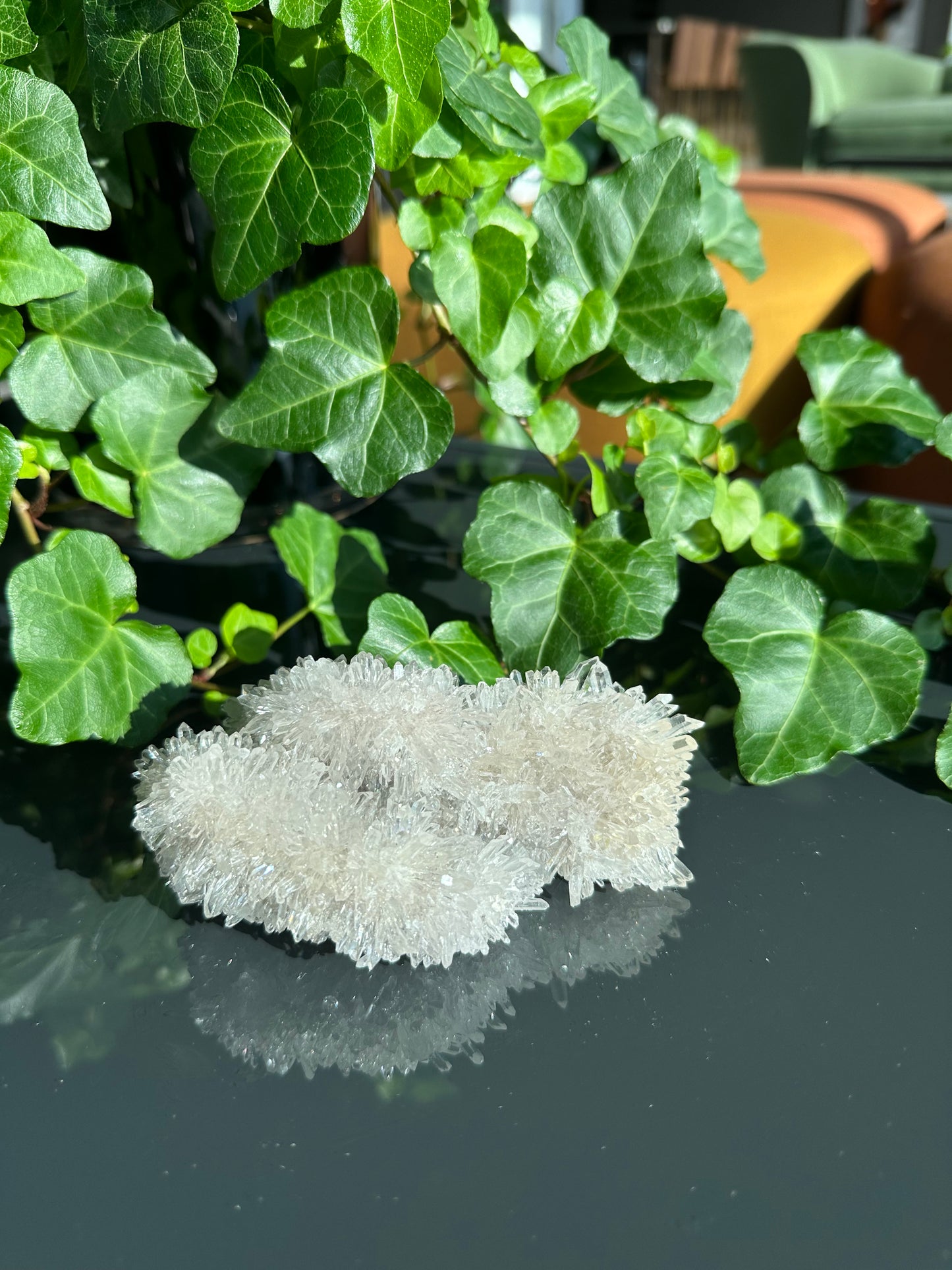 Chrysanthemum Clear Quartz Cluster