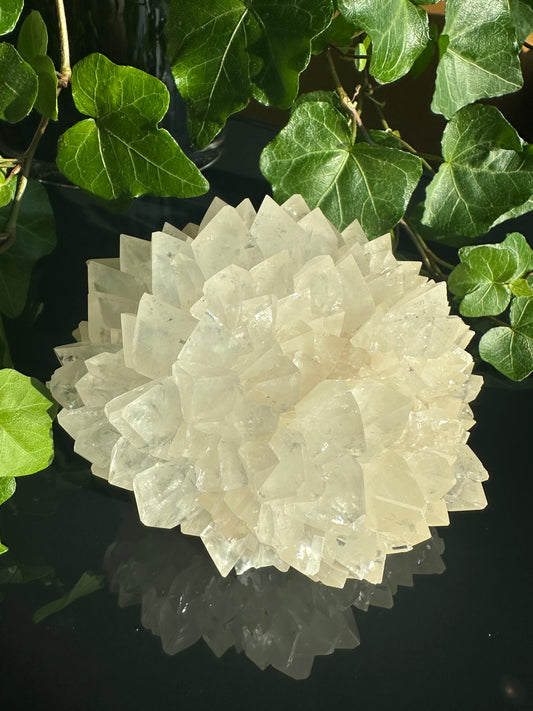 Clear Calcite Cluster (SOLD)