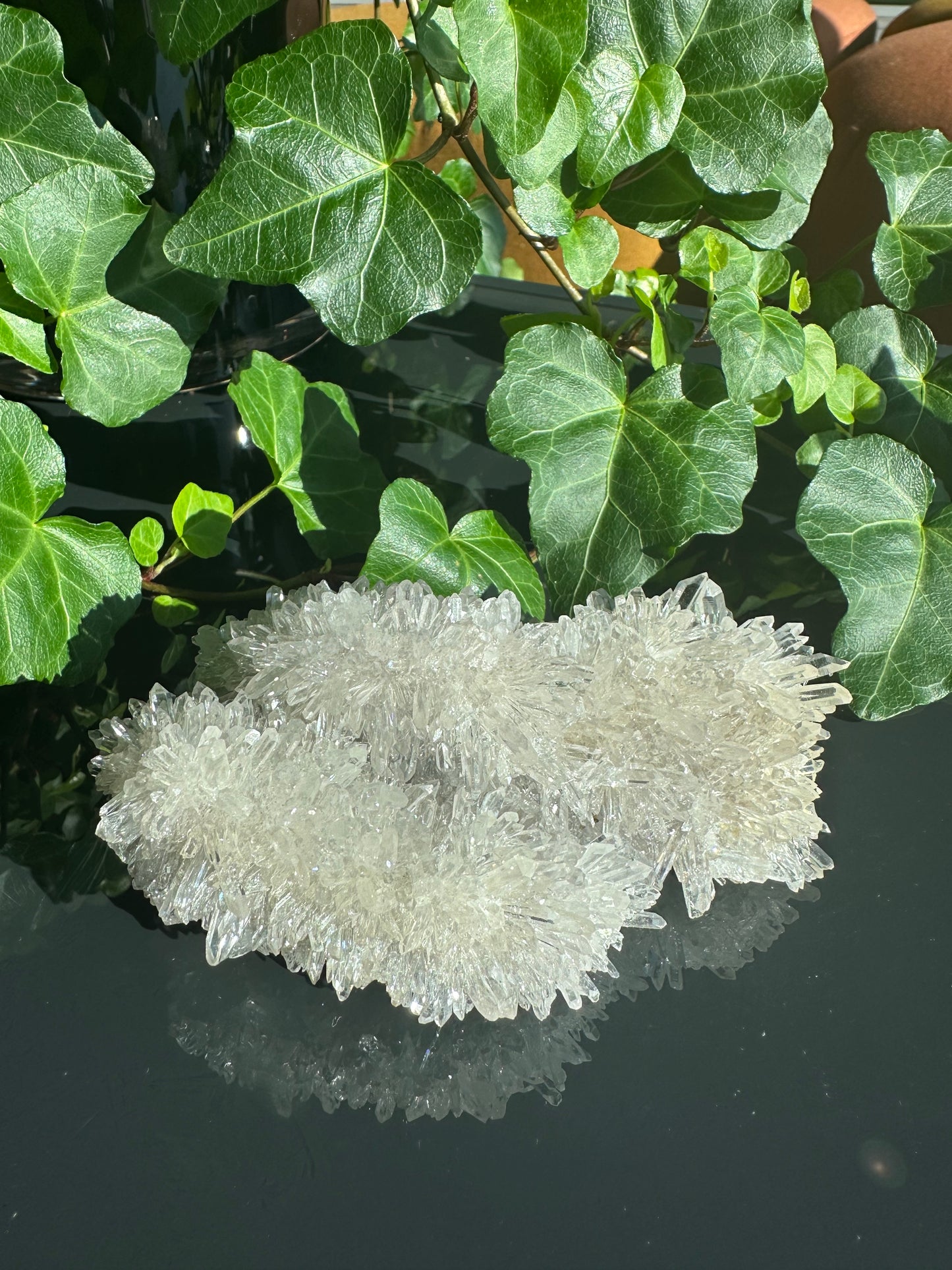 Chrysanthemum Clear Quartz Cluster