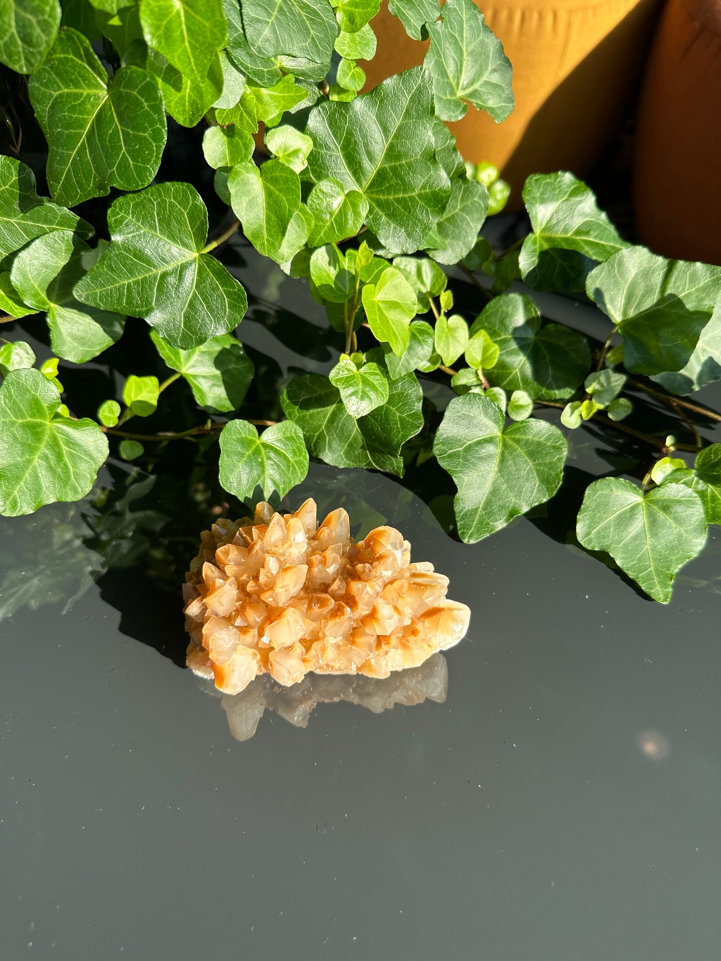 Orange Dogtooth Calcite