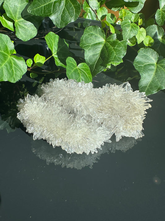 Chrysanthemum Clear Quartz Cluster