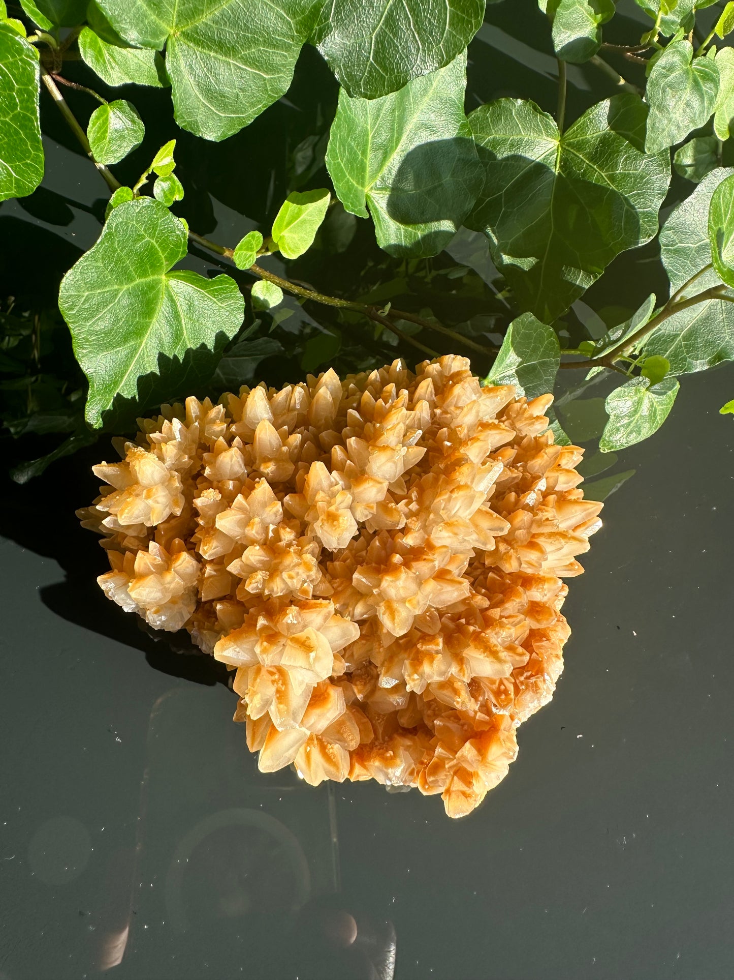 Orange Dogtooth Calcite