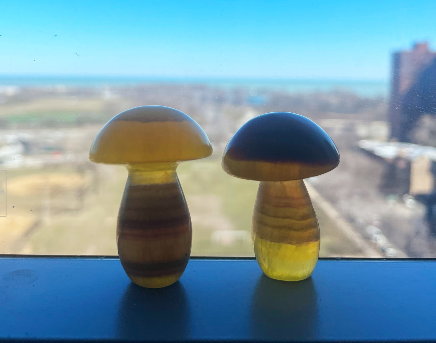 Yellow Fluorite Mushrooms