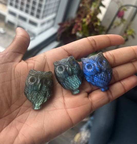 labradorite Owl