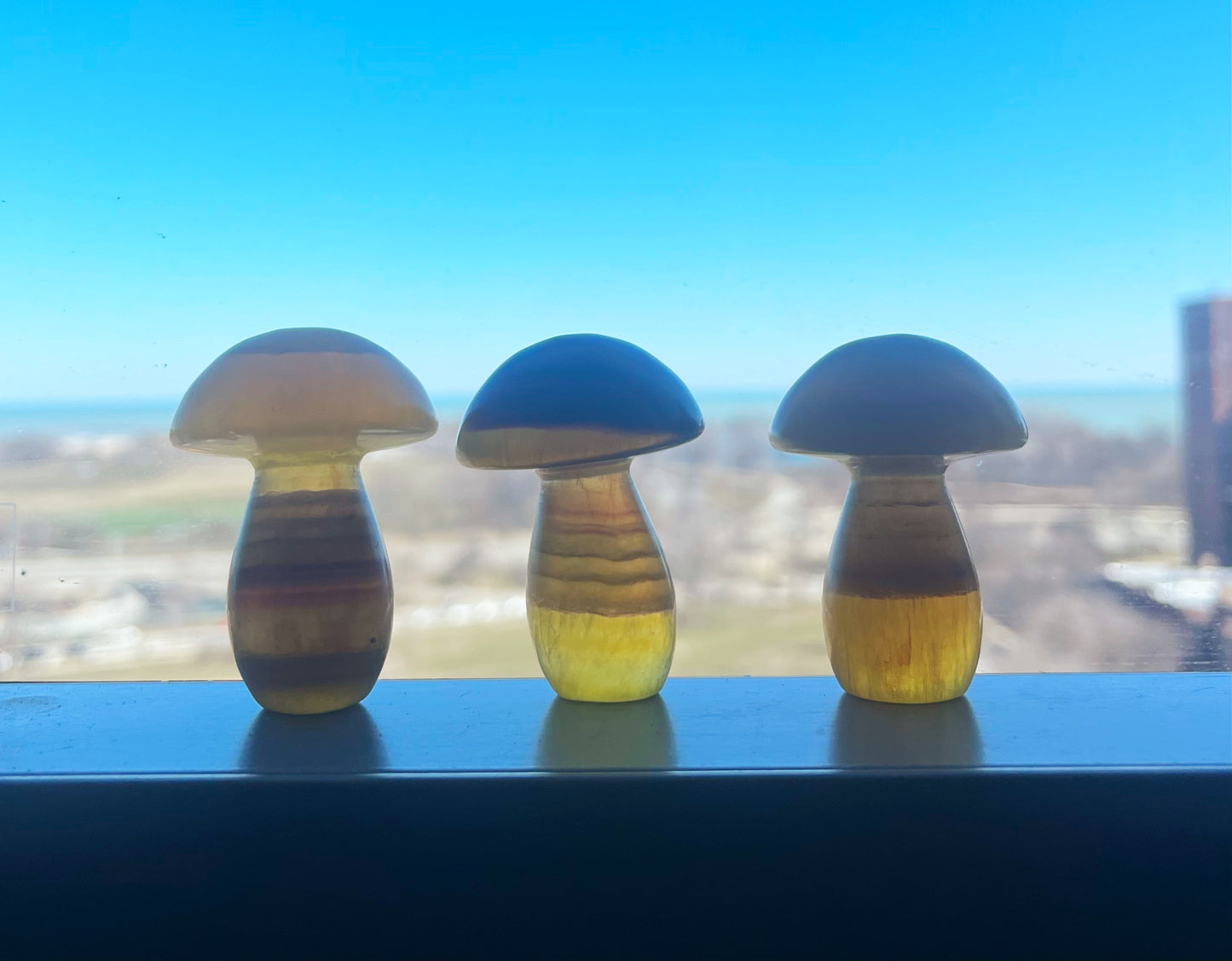 Yellow Fluorite Mushrooms